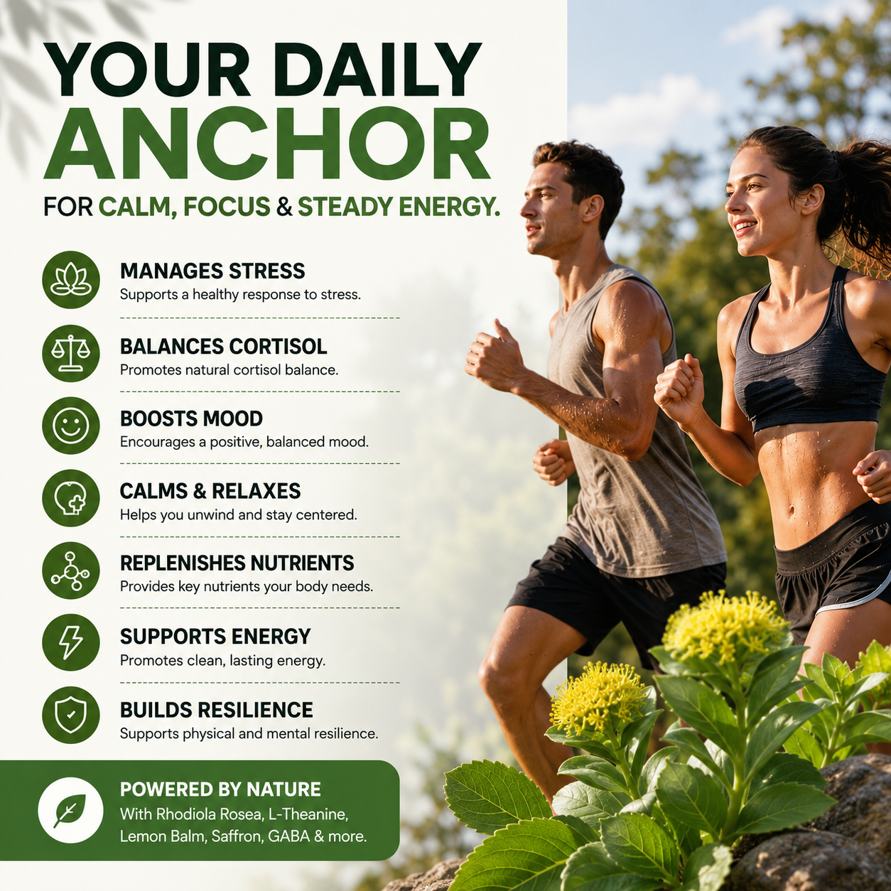 Rhodiola Rosea 10 in 1